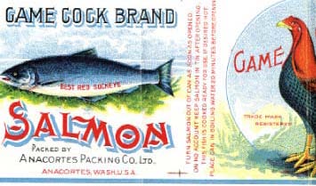 Salmon Run Note Cards