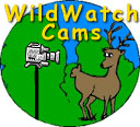 Washington Department of Fish and Wildlife WildWatchCams