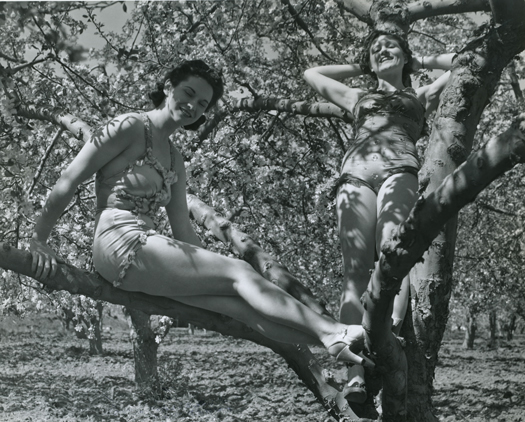 Caption: Climb a tree in heels? Washington State Archives, Digital Archives.