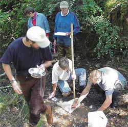 Photo of volunteers working with the Skagit Fisheries Enhancement Group