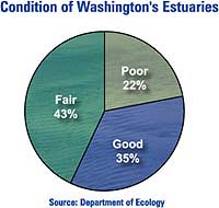 Pie chart of condition of Washington's estuaries