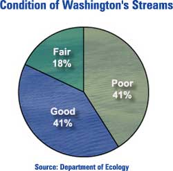 Pie chart of Washington's streams