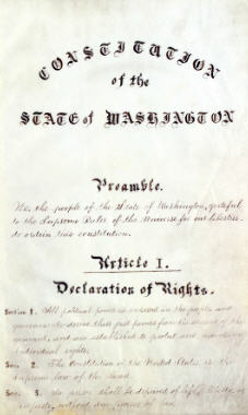thumbnail of state constitution